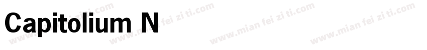 Capitolium News-Bold字体转换